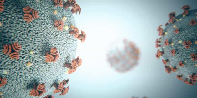 Faut-il s'inquiéter d'Eris, le nouveau variant du coronavirus ?  1 - Le Progrès Egyptien
