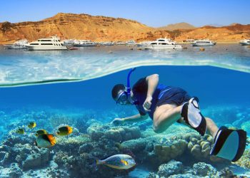 Vers une plongée écoresponsable