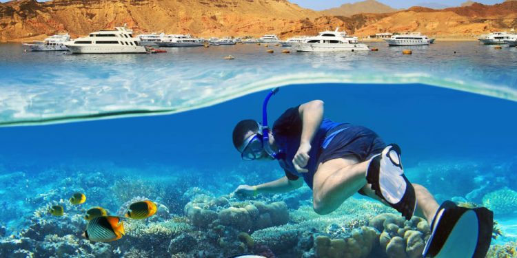 Vers une plongée écoresponsable 1 - Le Progrès Egyptien