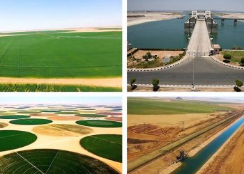 Touchka, un énorme projet national