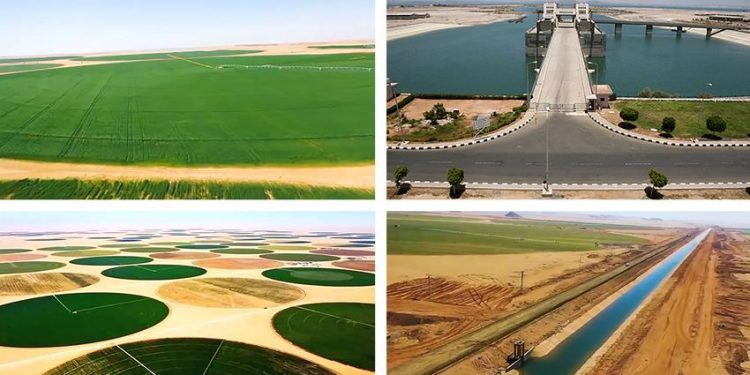 Touchka, un énorme projet national 1 - Le Progrès Egyptien