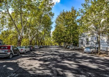 Villes : Plus d’arbres, moins de chaleur