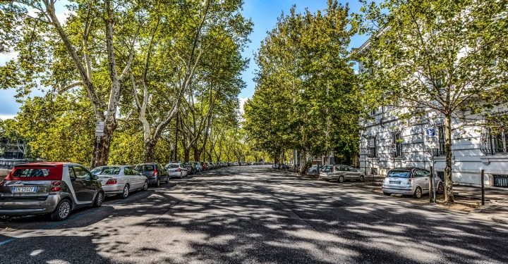 Villes : Plus d’arbres, moins de chaleur 1 - Le Progrès Egyptien