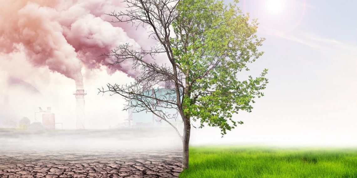 Approche intégrée pour les questions de climat et de biodiversité 2 - Le Progrès Egyptien Approche intégrée pour les questions de climat et de biodiversité 1 - Le Progrès Egyptien