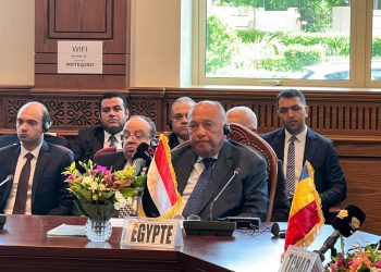 Choucri à la 1ère réunion sur la crise soudanaise à N’Djamena