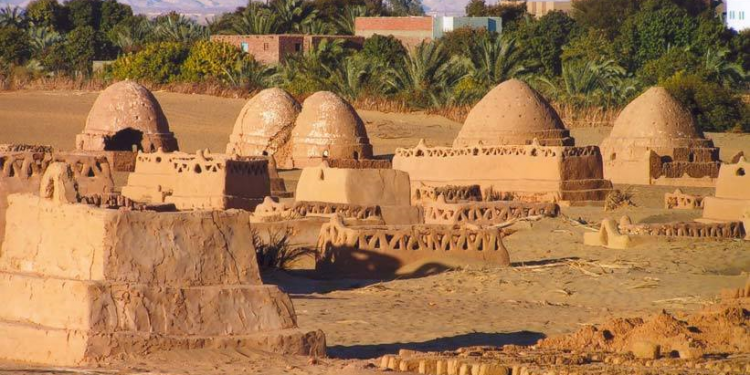 JICA : Développement agricole à Dakhla  1 - Le Progrès Egyptien