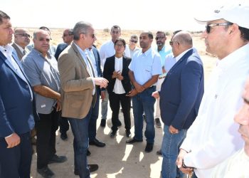 Fayoum : 1ère usine étrangère de câblage électrique pour automobiles