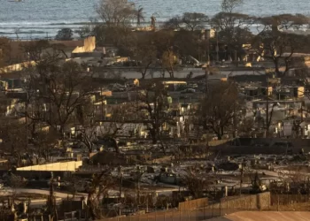 Incendies à Hawaï: le bilan humain dépasse les 100 morts