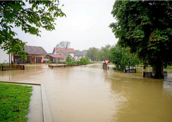 Foot : Robert Sanchez signe à Chelsea jusqu’en 2030