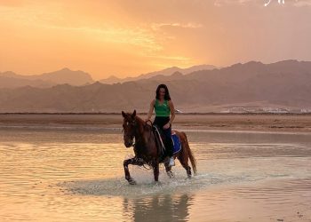 “The Independent” : 12 meilleures activités touristiques à ne pas manquer en Egypte