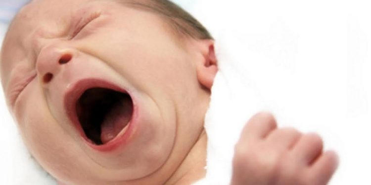 Congeler des aliments,des ovules aussi ?! 1 - Le Progrès Egyptien