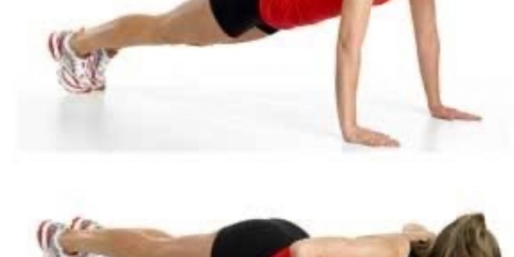 Demi-pompes 1 - Le Progrès Egyptien