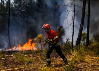 L’Espagne et le Portugal en proie à la canicule 