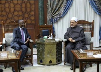 Egypte-Somalie : Examen de la coopération scientifique