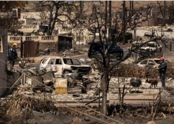 Incendies à Hawaï : Démission du chef de la gestion des crises    
