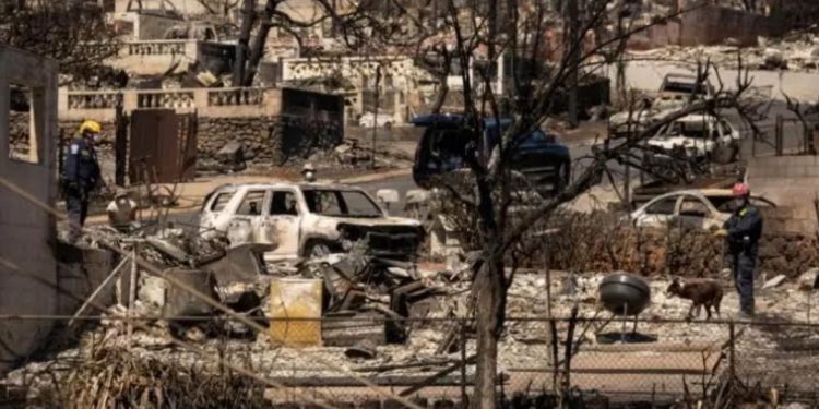 Incendies à Hawaï : Démission du chef de la gestion des crises 2 - Le Progrès Egyptien Incendies à Hawaï : Démission du chef de la gestion des crises 1 - Le Progrès Egyptien