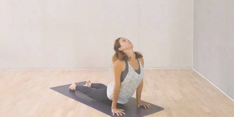 Le chien tête en haut    2 - Le Progrès Egyptien Le chien tête en haut    1 - Le Progrès Egyptien