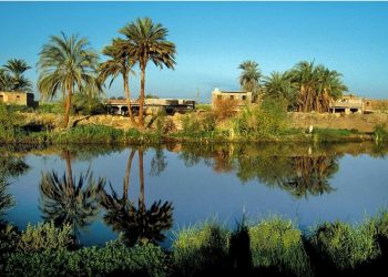 Fayoum : Les projets de développement se poursuivent   