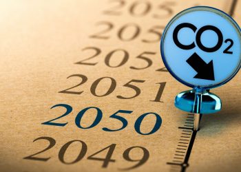 Abou Dhabi cherche à atteindre la neutralité climatique d’ici 2045