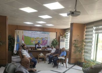 Borg Al-Arab : Début de construction de 8 000 unités de logement