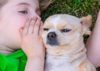 Les humains peuvent-ils comprendre le langage des animaux?