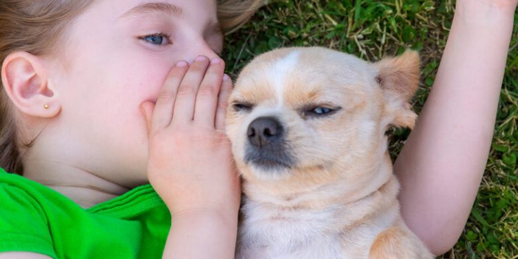 Les humains peuvent-ils comprendre le langage des animaux? 1 - Le Progrès Egyptien