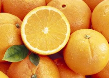 Un proverbe, une histoire