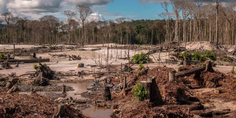 Une zone déboisée dans le territoire indigène Yanomami, photographiée en juin 2021 dans le nord-ouest du pays.  © 2021 Gabriel Chaim