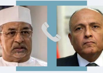 Entretien Choucri et son homologue tchadien