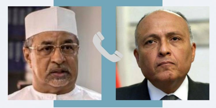 Entretien Choucri et son homologue tchadien 1 - Le Progrès Egyptien