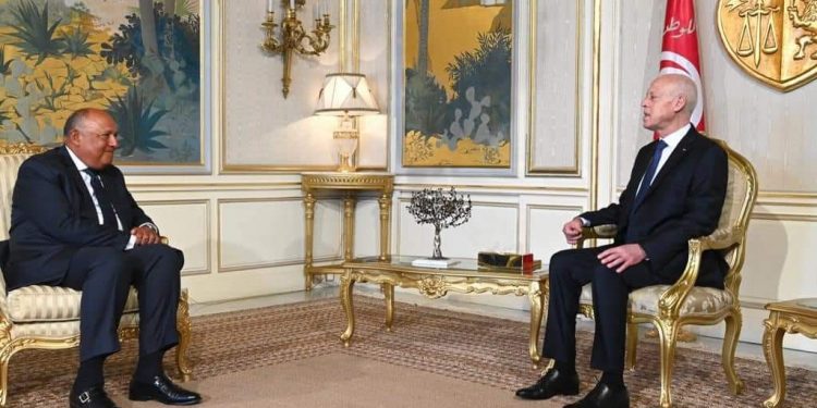 Kaïs Saïed : La Tunisie tient à renforcer la coopération avec l'Egypte 1 - Le Progrès Egyptien