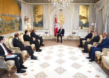 Choucri : Forte volonté de développer les relations avec la Tunisie au niveau stratégique