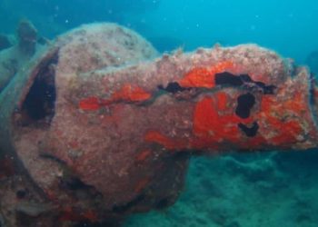 Découverte des restes d’un navire à El Alamein