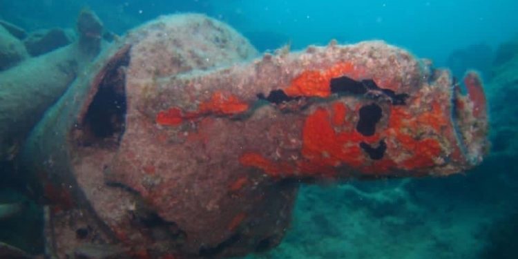 Découverte des restes d'un navire à El Alamein 1 - Le Progrès Egyptien