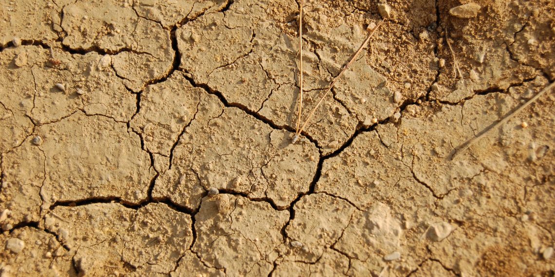 Le changement climatique freine-t-il la croissance mondiale 1 - Le Progrès Egyptien