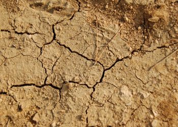 Le changement climatique freine-t-il la croissance mondiale