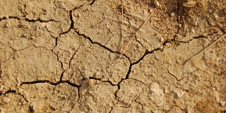 Le changement climatique freine-t-il la croissance mondiale 2 - Le Progrès Egyptien Le changement climatique freine-t-il la croissance mondiale 1 - Le Progrès Egyptien