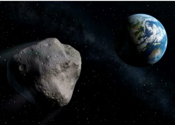 Mondial/Rugby : L’Irlande marque les esprits sud africains