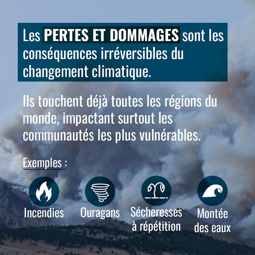 Changement climatique : L’heure est à la mobilisation 5 - Le Progrès Egyptien