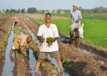 La Journée du “fellah”… intérêts et bénéfices