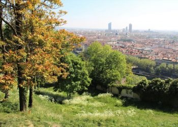 Que l’urbanisation rime avec la biodiversité !