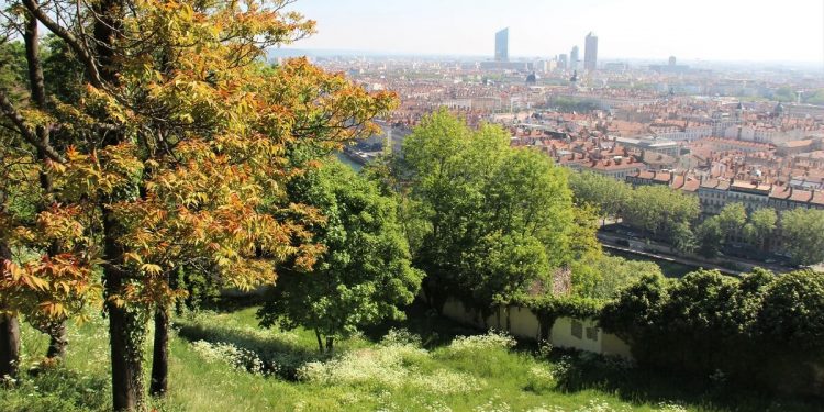 Que l’urbanisation rime avec la biodiversité ! 1 - Le Progrès Egyptien