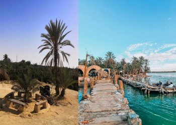 Davantage d’investissements à Siwa dans l’avenir