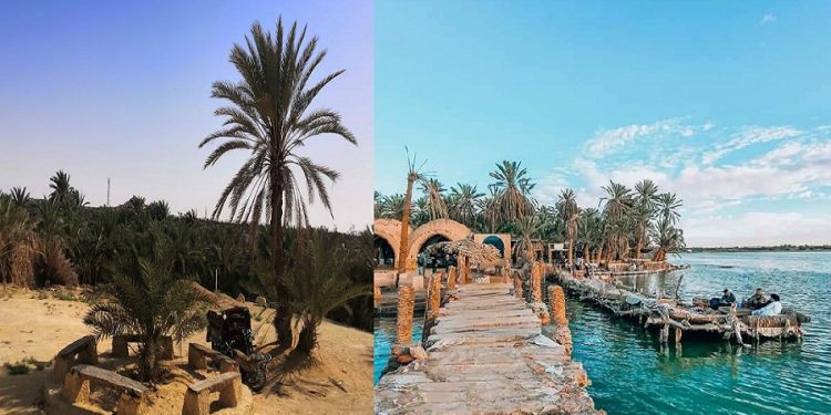 Davantage d'investissements à Siwa dans l'avenir 1 - Le Progrès Egyptien