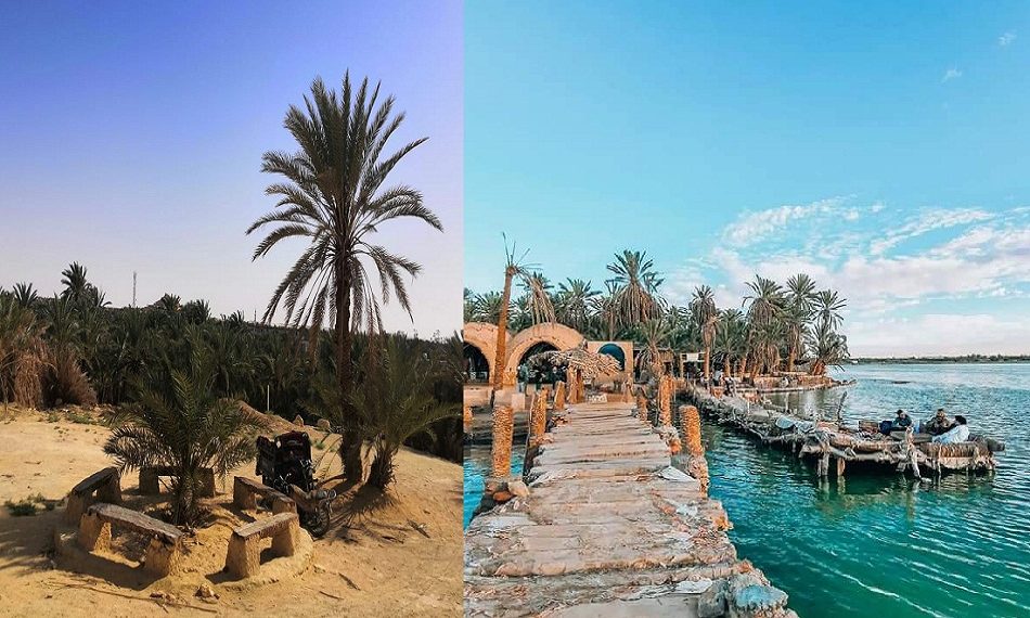 Davantage d'investissements à Siwa dans l'avenir 2 - Le Progrès Egyptien Davantage d'investissements à Siwa dans l'avenir 1 - Le Progrès Egyptien