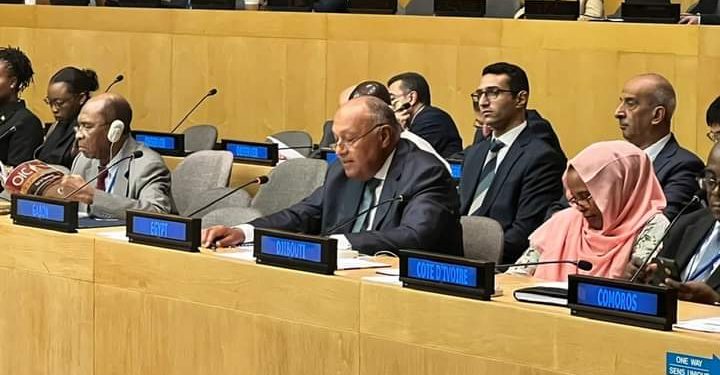 Choucri à la réunion des ministres des AE de l'OCI 2 - Le Progrès Egyptien Choucri à la réunion des ministres des AE de l'OCI 1 - Le Progrès Egyptien