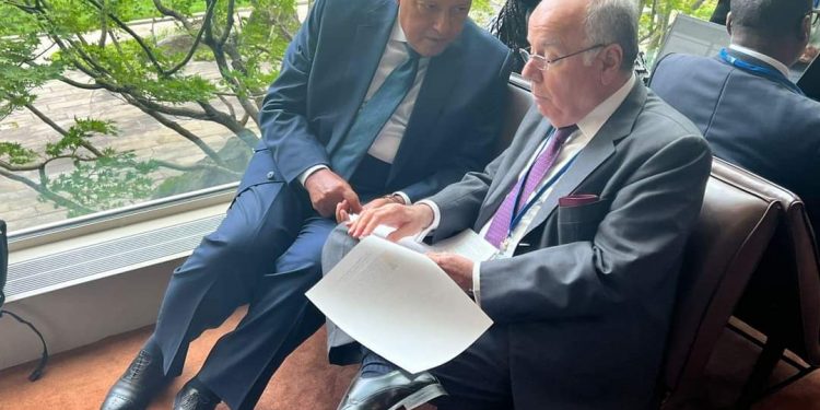 Choucri s'entretient avec son homologue brésilien 1 - Le Progrès Egyptien
