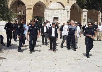 Palestine : Des dizaines de colons israéliens font incursion dans la mosquée Al-Aqsa