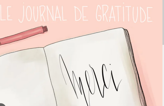 Mon journal 5 minutes : votre journal de gratitude !
