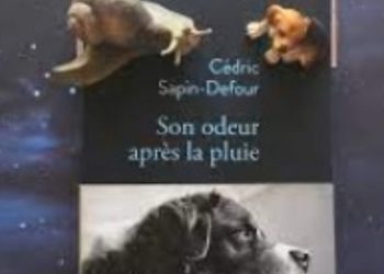 Animaux-hommes : Une histoire d’amour